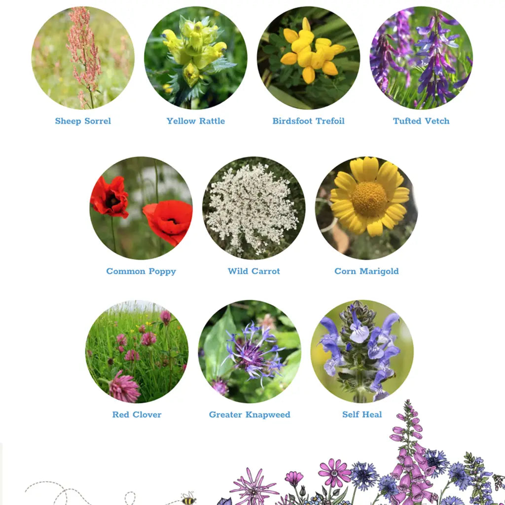 Seedball Wildflower Grab Bags - Wildlife Mix image 2