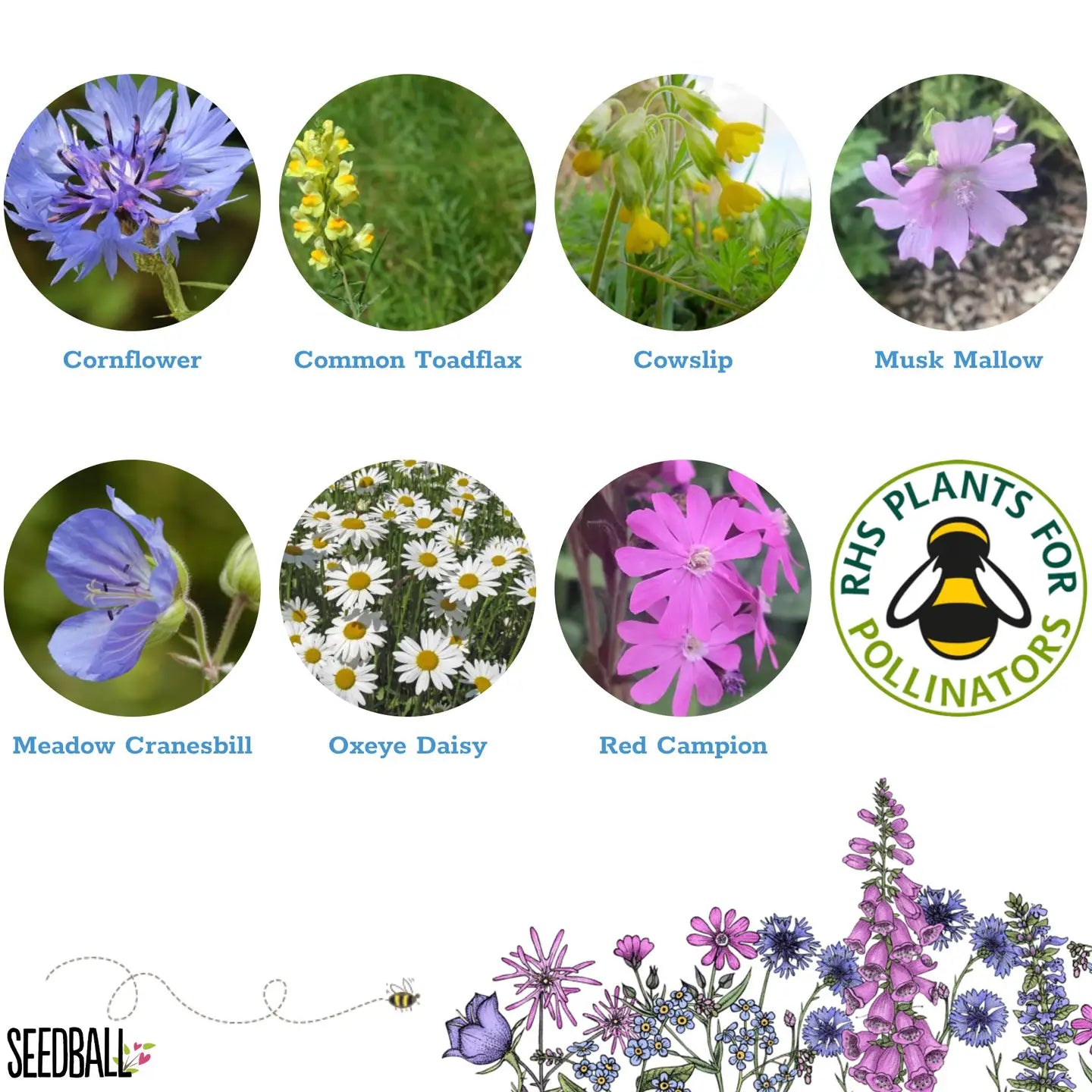 Seedball Wildflower Grab Bags - Garden Meadow image 3