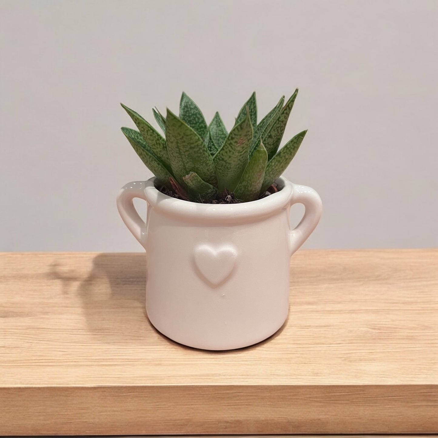 Ceramic Heart Planter image 0