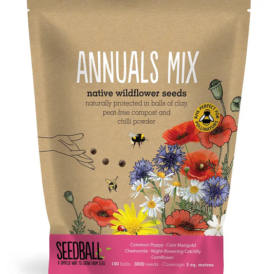 Seedball Wildflower Grab Bags - Annuals Mix image 0