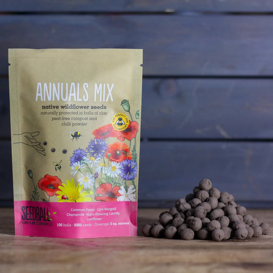 Seedball Wildflower Grab Bags - Annuals Mix image 1