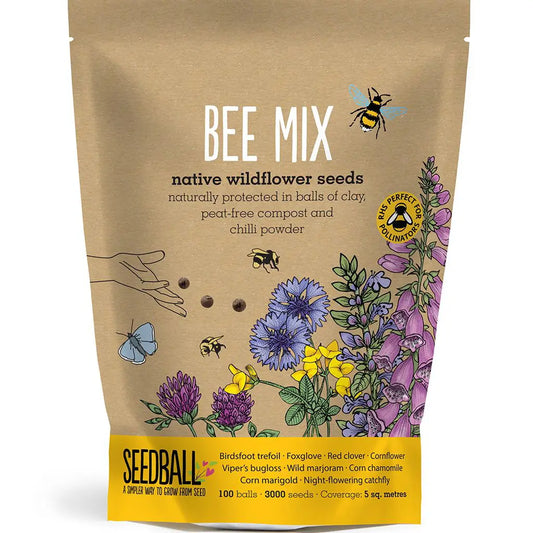 Seedball Wildflower Grab Bags - Bee Mix image 0