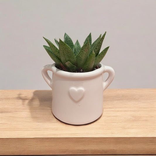 Ceramic Heart Planter image 0