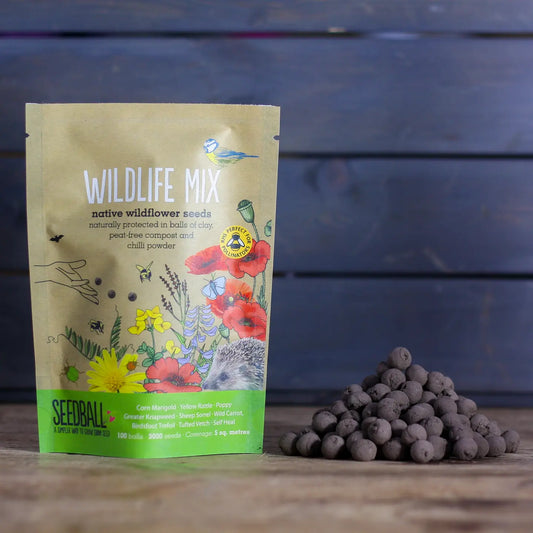 Seedball Wildflower Grab Bags - Wildlife Mix image 1